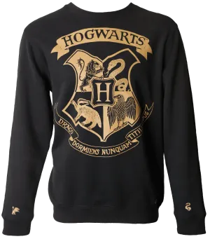 Hogwarts Striped Sleeve Sweatshirt